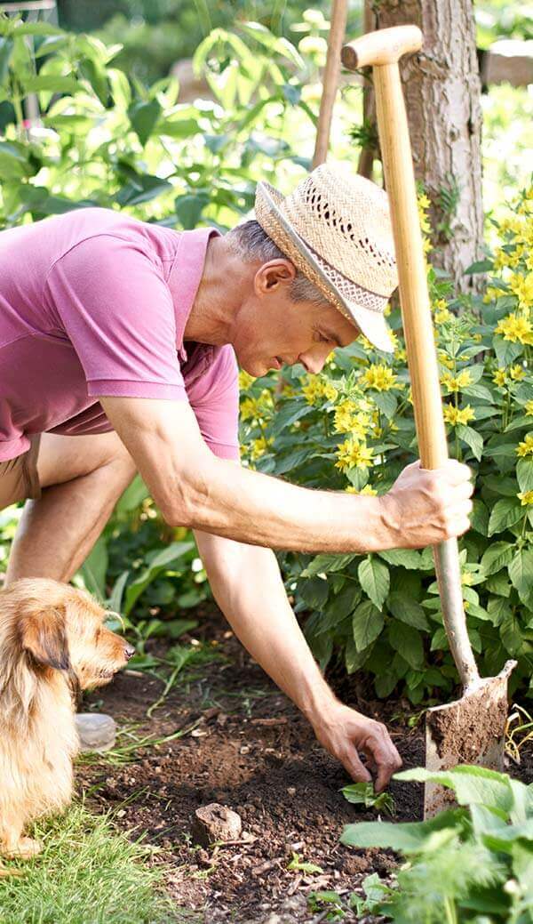 Das Bild zeigt einen Mann mit Hut bei der Gartenarbeit. In der rechten Hand hält er einen Spaten. Mit der linken Hand jätet er Unkraut. Ein Hund sitzt an der rechten Seite dicht neben ihm.